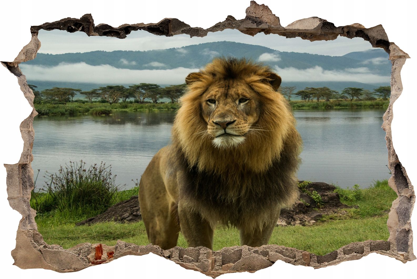  Fototapeedid auk 3d seinakleebis wodospady potok mets loodus