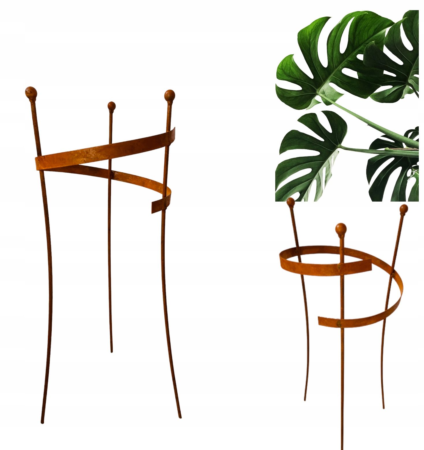  Support for bushes plants flower roses pergola 30/50cm single-seater semicircular