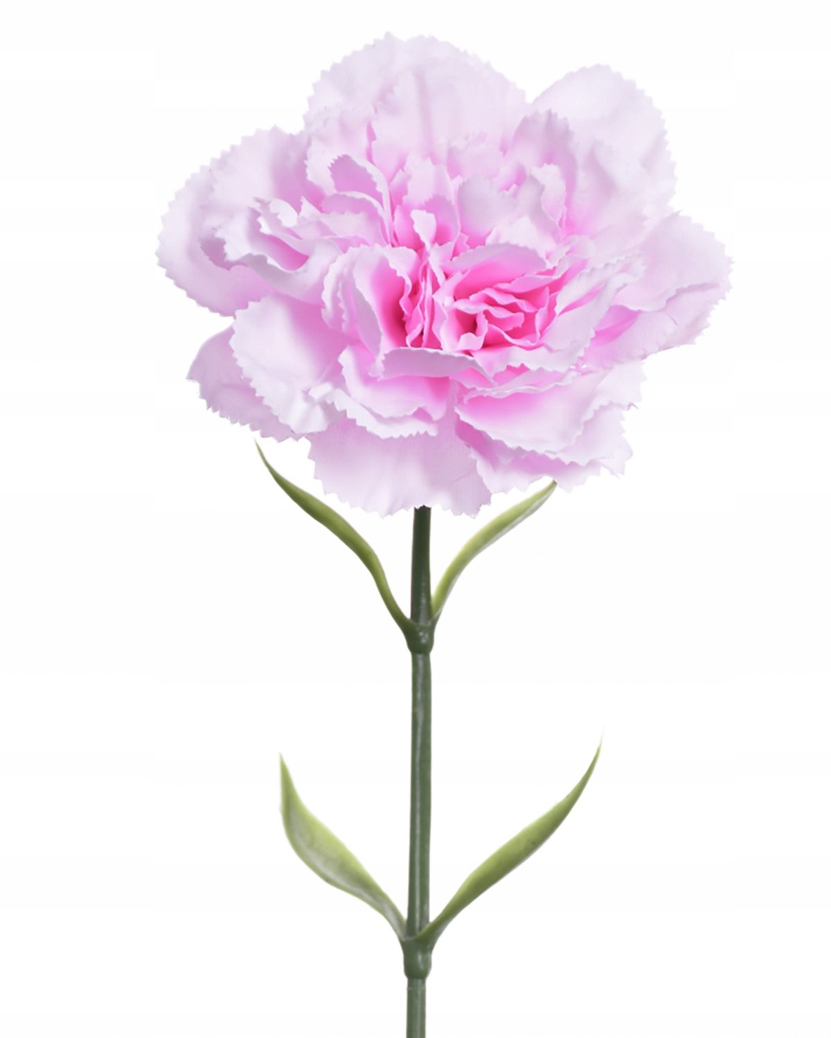  Zweig gipsowki bündeln kleine blumen in krone anhang zur krone premium