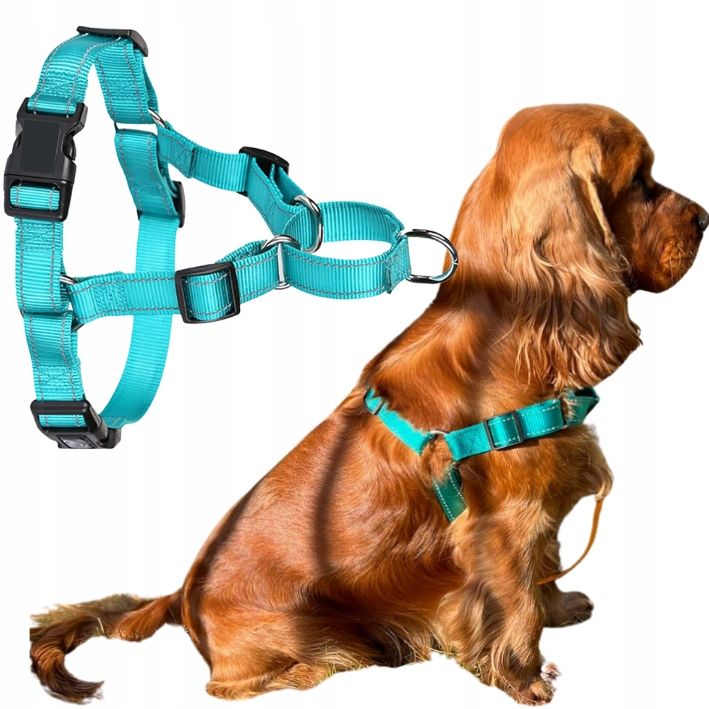  Verstellbare hosenträger milton für den hund l gray 55-78cm