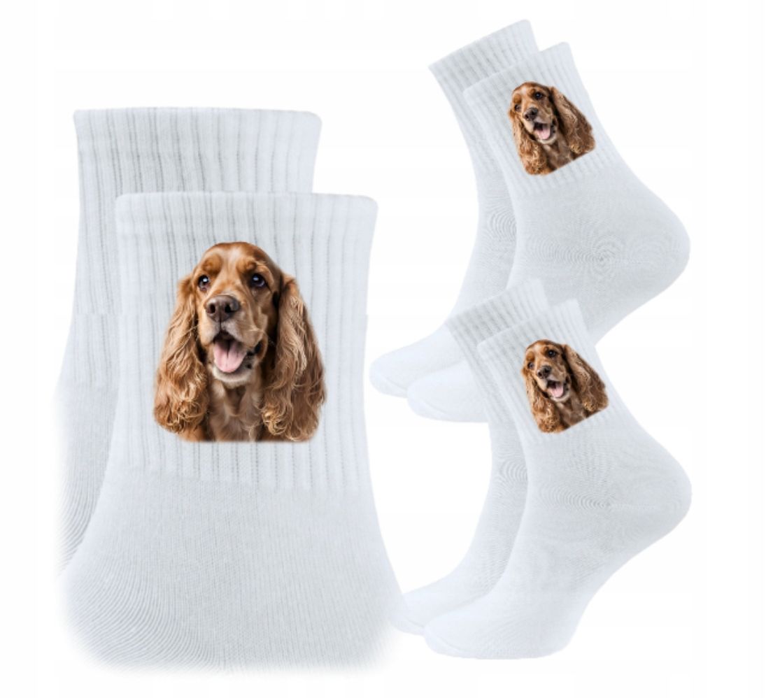  3x socken psiak hund hündchen hunde geschenk - york yorkshire