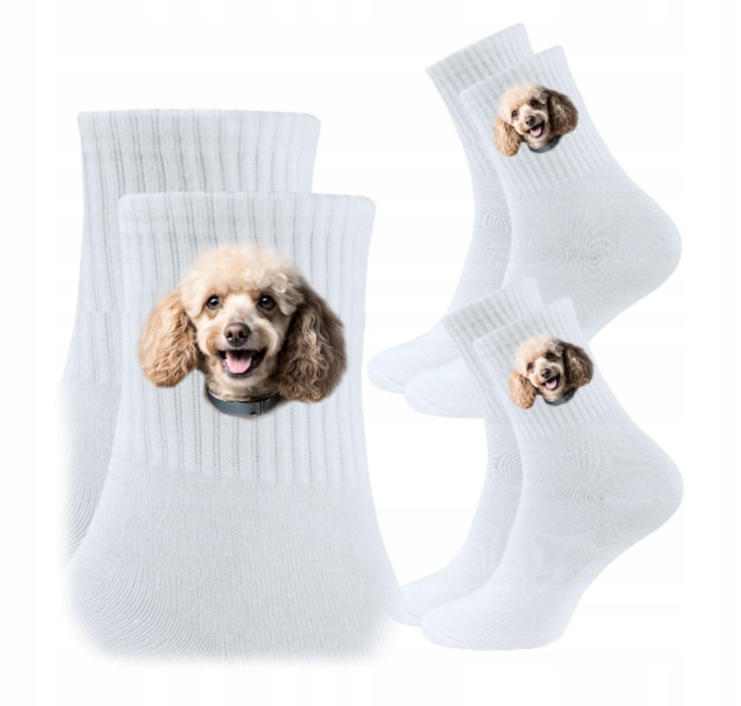  3x socken psiak hund hündchen hunde geschenk - york yorkshire