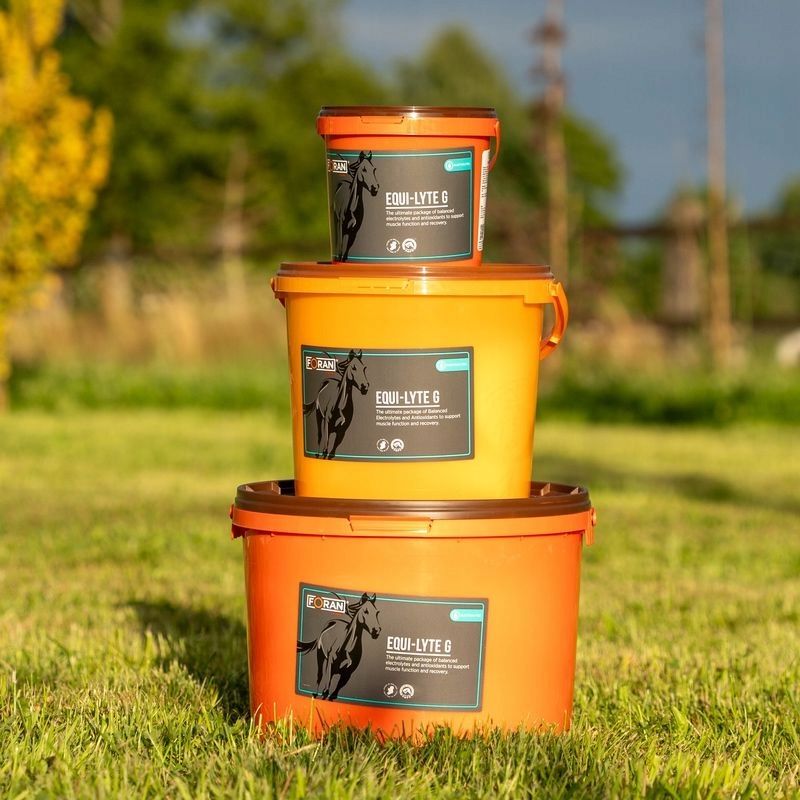  Mobilnosc i funkcijas locītavām, zirgi sports / vecāks ost-o-flex foran 5l