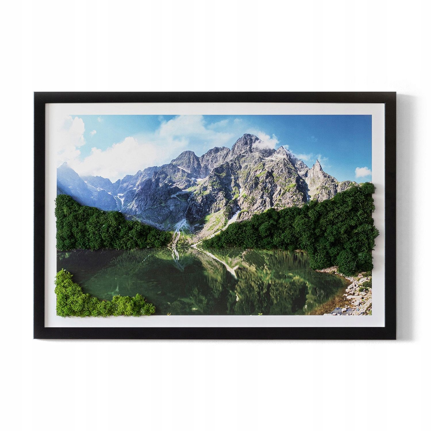  Tapyba samanos chrobotek sala ant rozlewisku 60x40