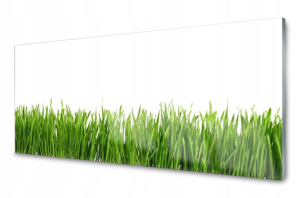  Lacobel glasplatte küche lilien wasser 140x70