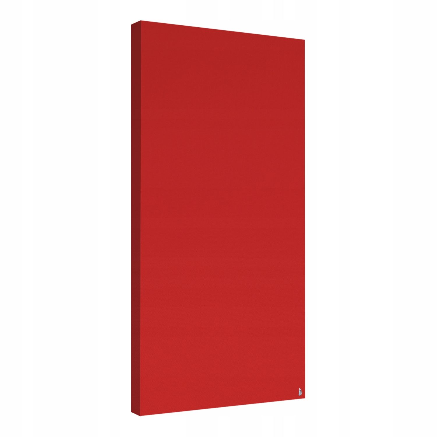  Sugėriklis premium 100x50x6 cm 7.curry kilimėlis garso izoliacijos putos akustinė