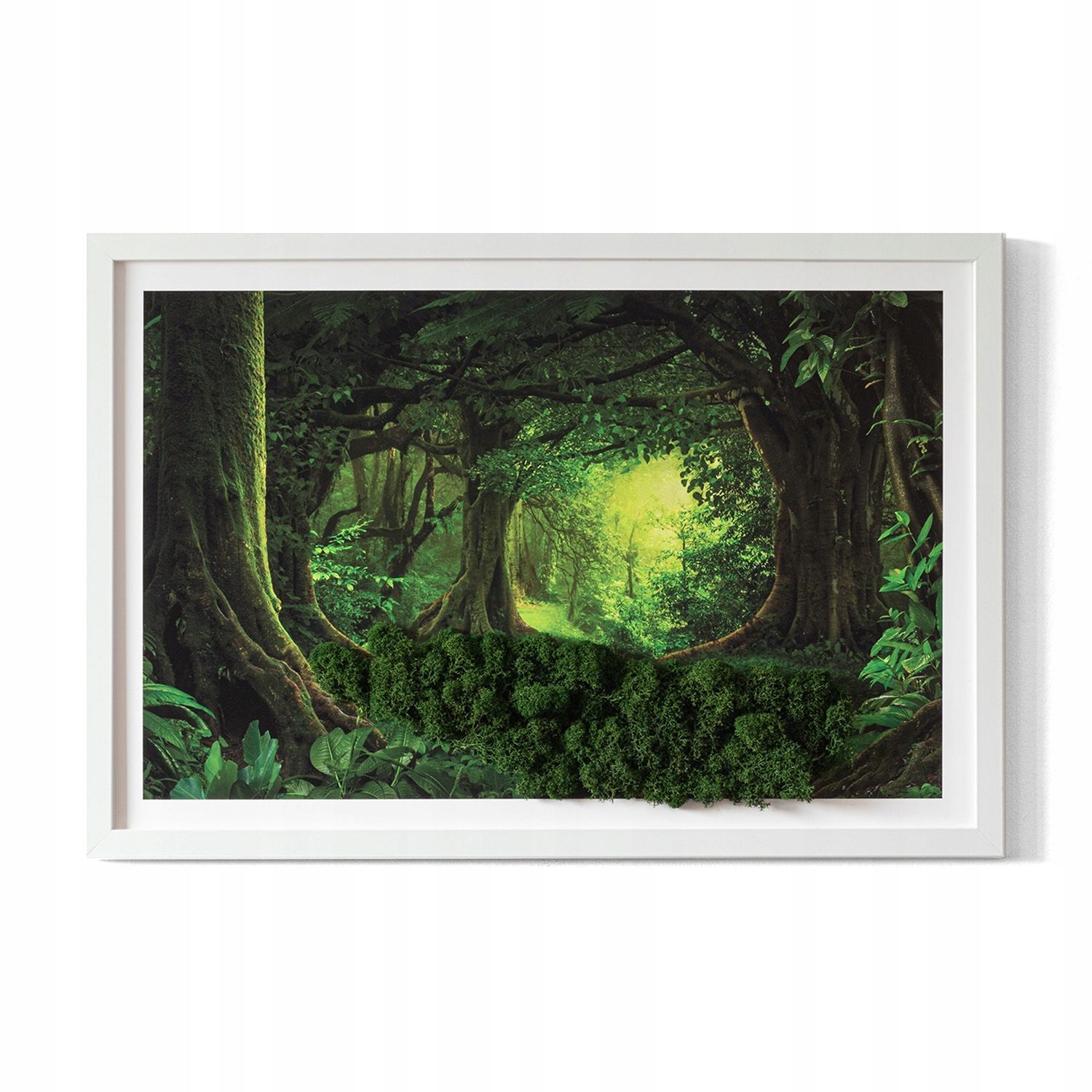  Tapyba samanos chrobotek sala ant rozlewisku 60x40