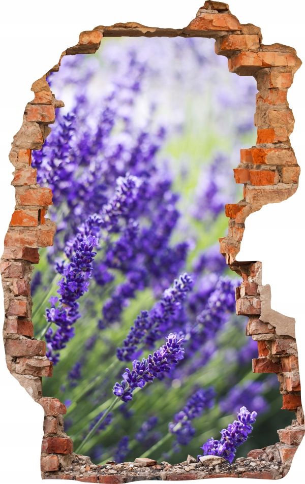  Sienas uzlīmes foto tapetes caurums 688 daba