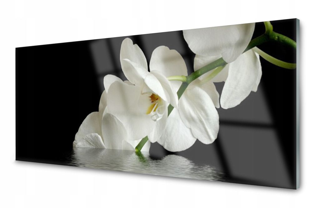  Lacobel glasplatte küche lilien wasser 140x70