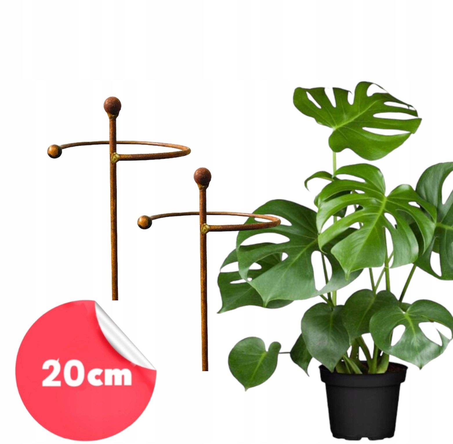  Support for bushes plants flower roses pergola 30/50cm single-seater semicircular