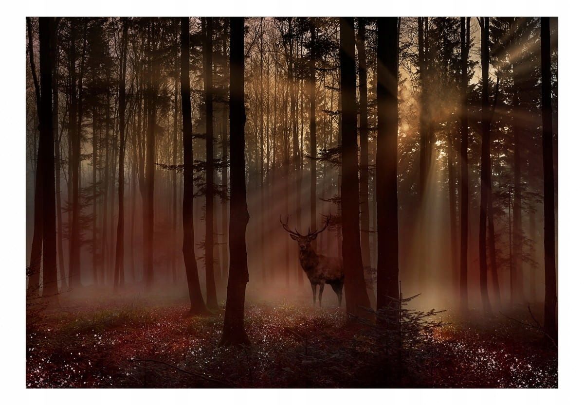  Photo wallpapers - uscisk trees - 150x105