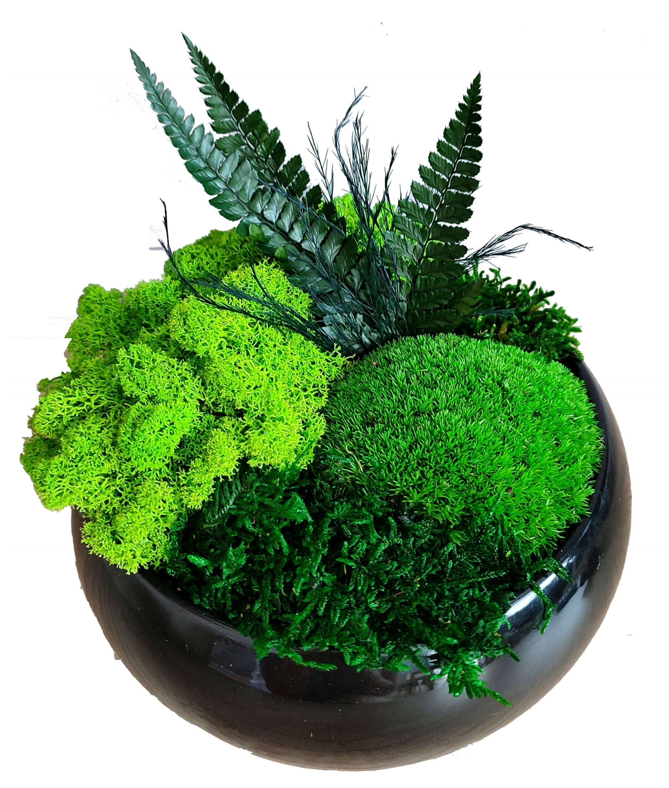  Flowerpot boat with moss, day grandma