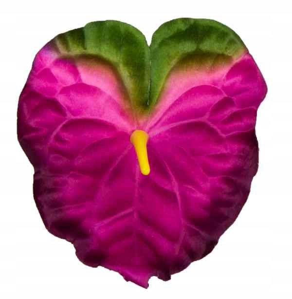  Anturium pea fuchsia / green