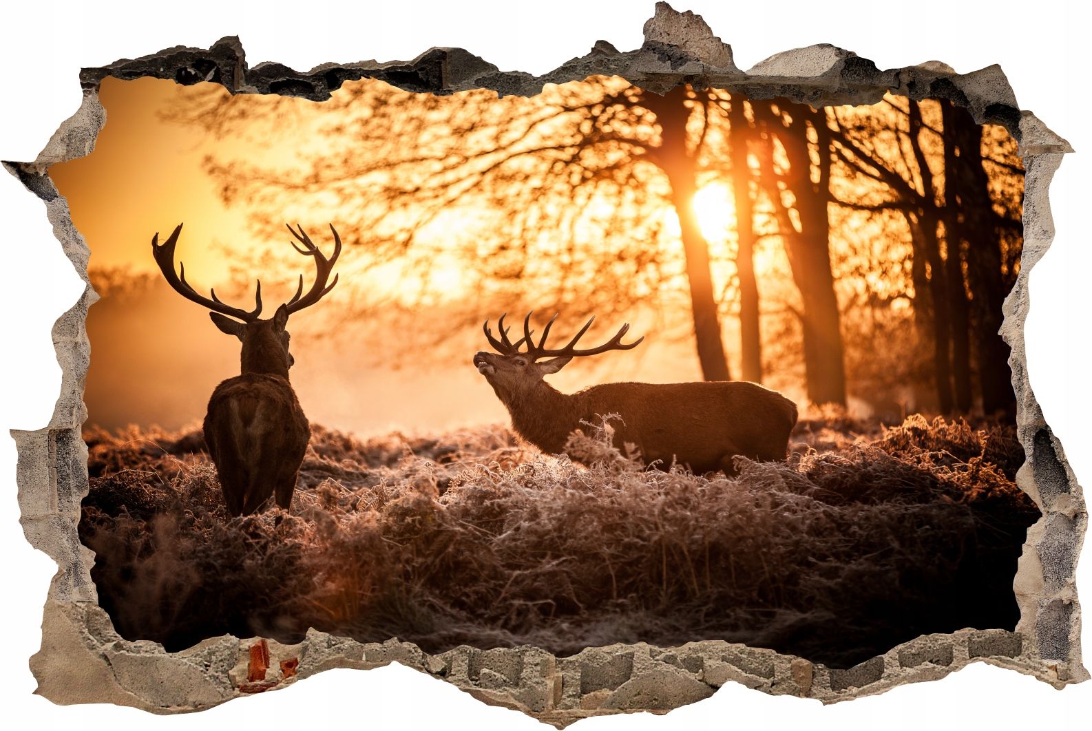  Fototapeedid auk 3d seinakleebis wodospady potok mets loodus