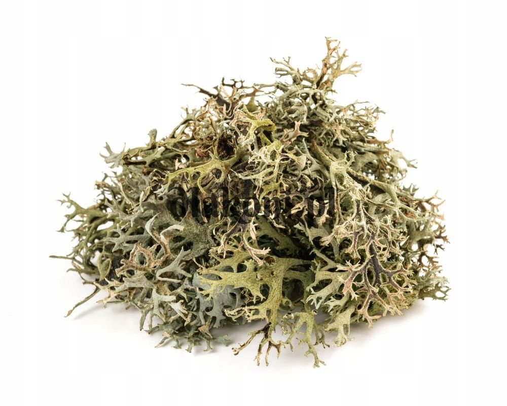  Equiherbs czarnuszka seemned toetab seedimist vastupidavust hobuste jaoks horse 1kg