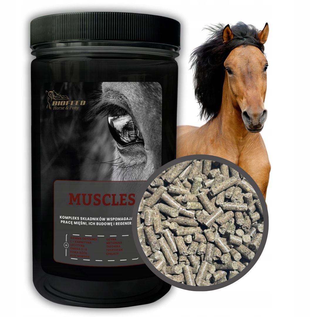  Biofeed horse & ponis papildas preparatas nuo viduriavimo arkliui granulės 6 kg