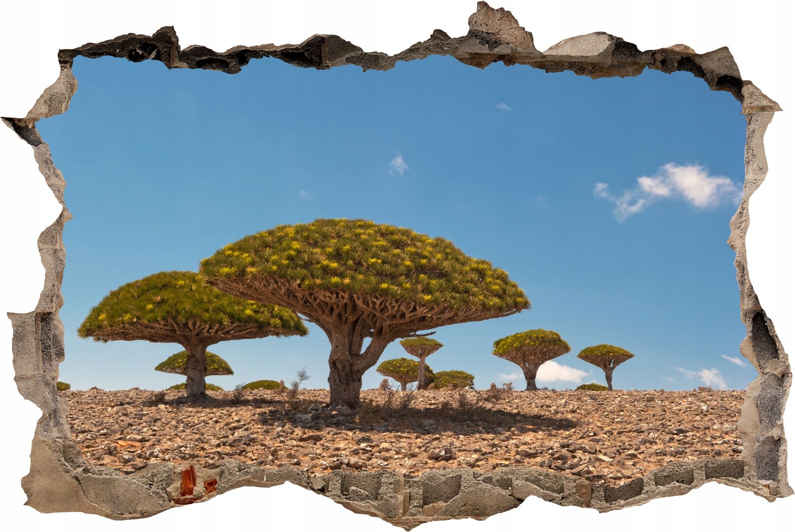  Fototapeedid auk 3d seinakleebis wodospady potok mets loodus