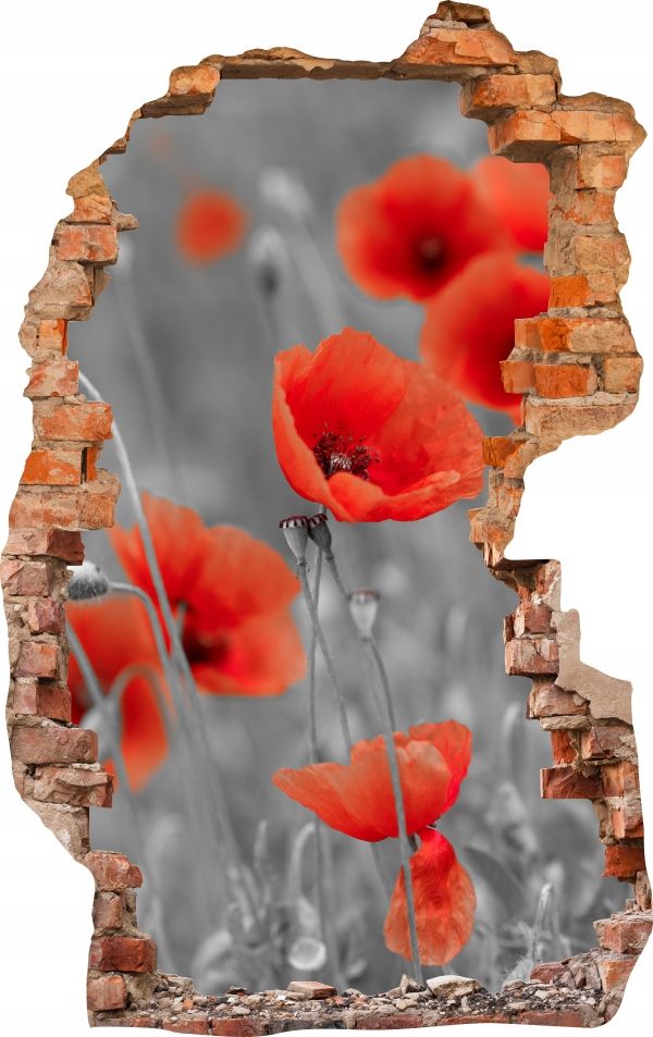  Sienas uzlīmes foto tapetes caurums 688 daba