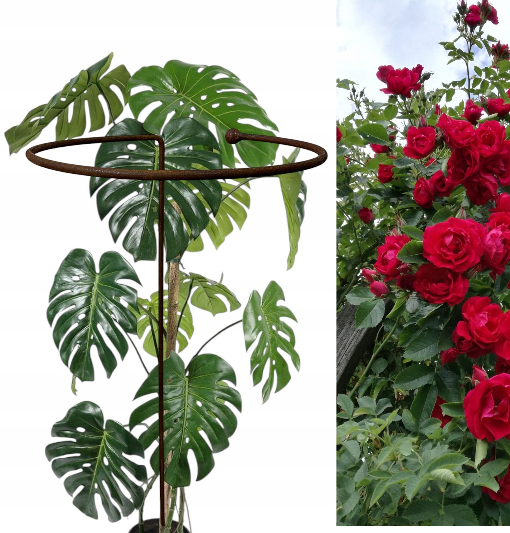  Support for bushes plants flower roses pergola 30/50cm single-seater semicircular