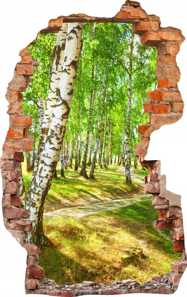  Sienas uzlīmes foto tapetes caurums 688 daba
