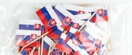  Toothpicks piers flags slovakia slowacji 20 pcs.