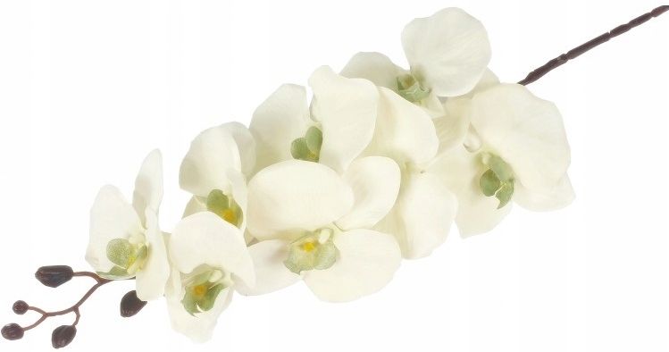  Orchid twig 20 flowers 76 cm rubber