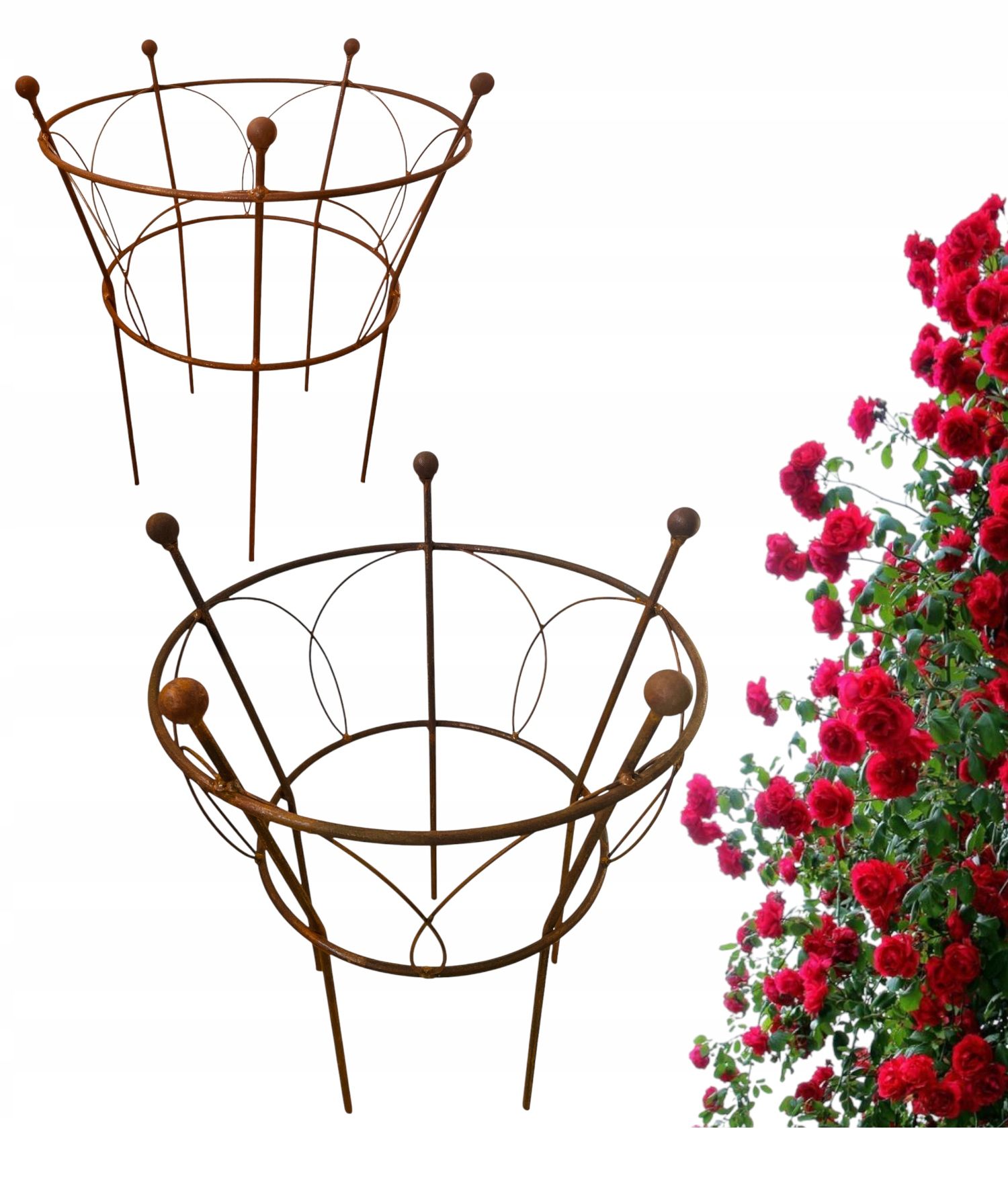  Support for bushes plants flower roses pergola 30/50cm single-seater semicircular