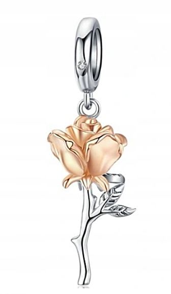 Charms engelsflügel anhänger pflege herz silber 925