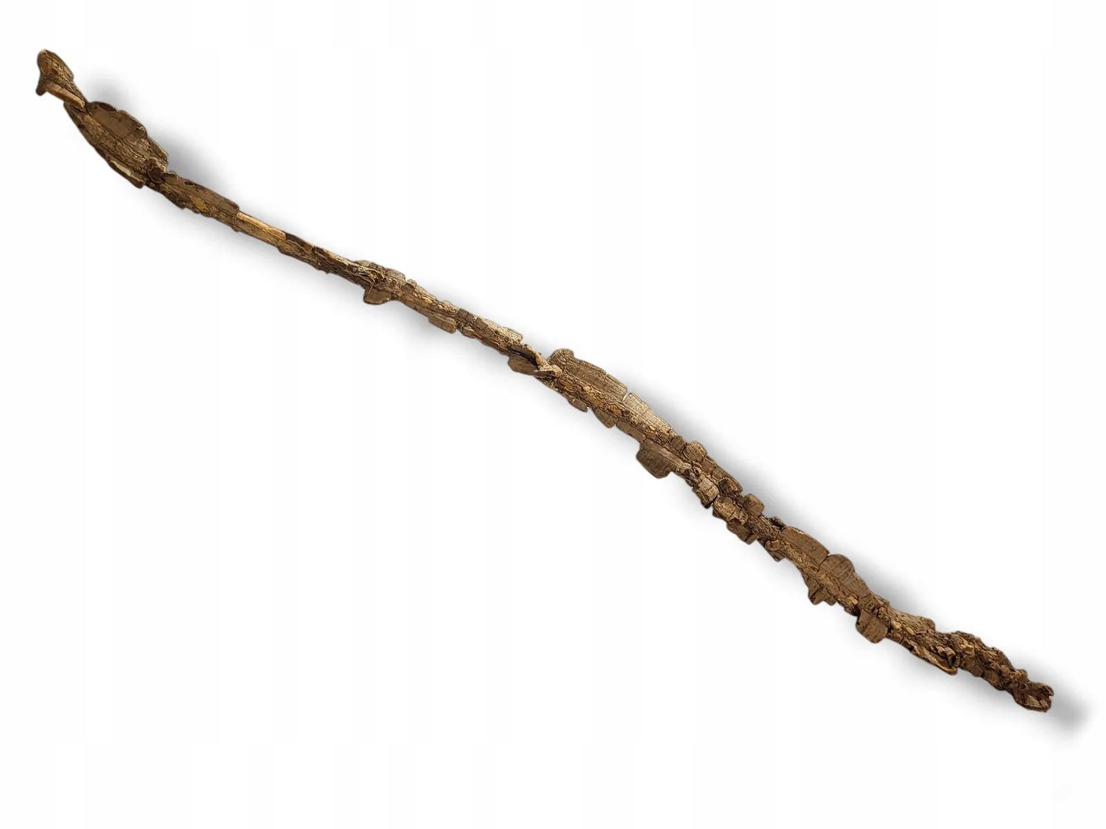  Bambus, bambusový kůl 50cm lešení pro terárium - 1 ks