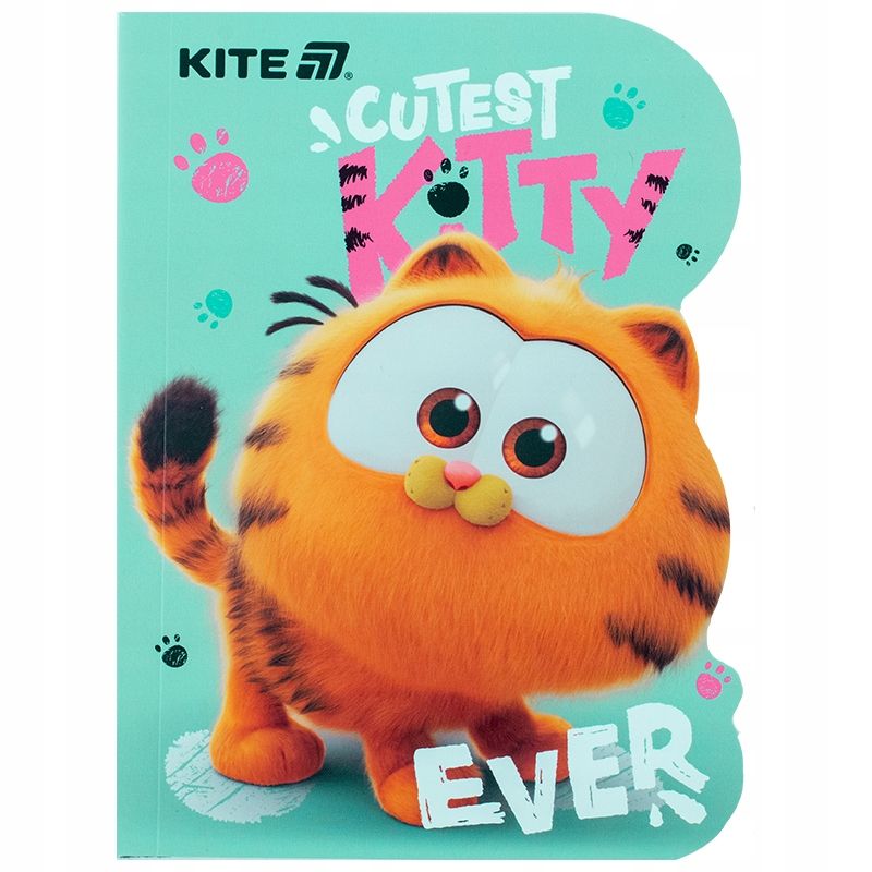  Notebook diary a6 hot wheels blue kite