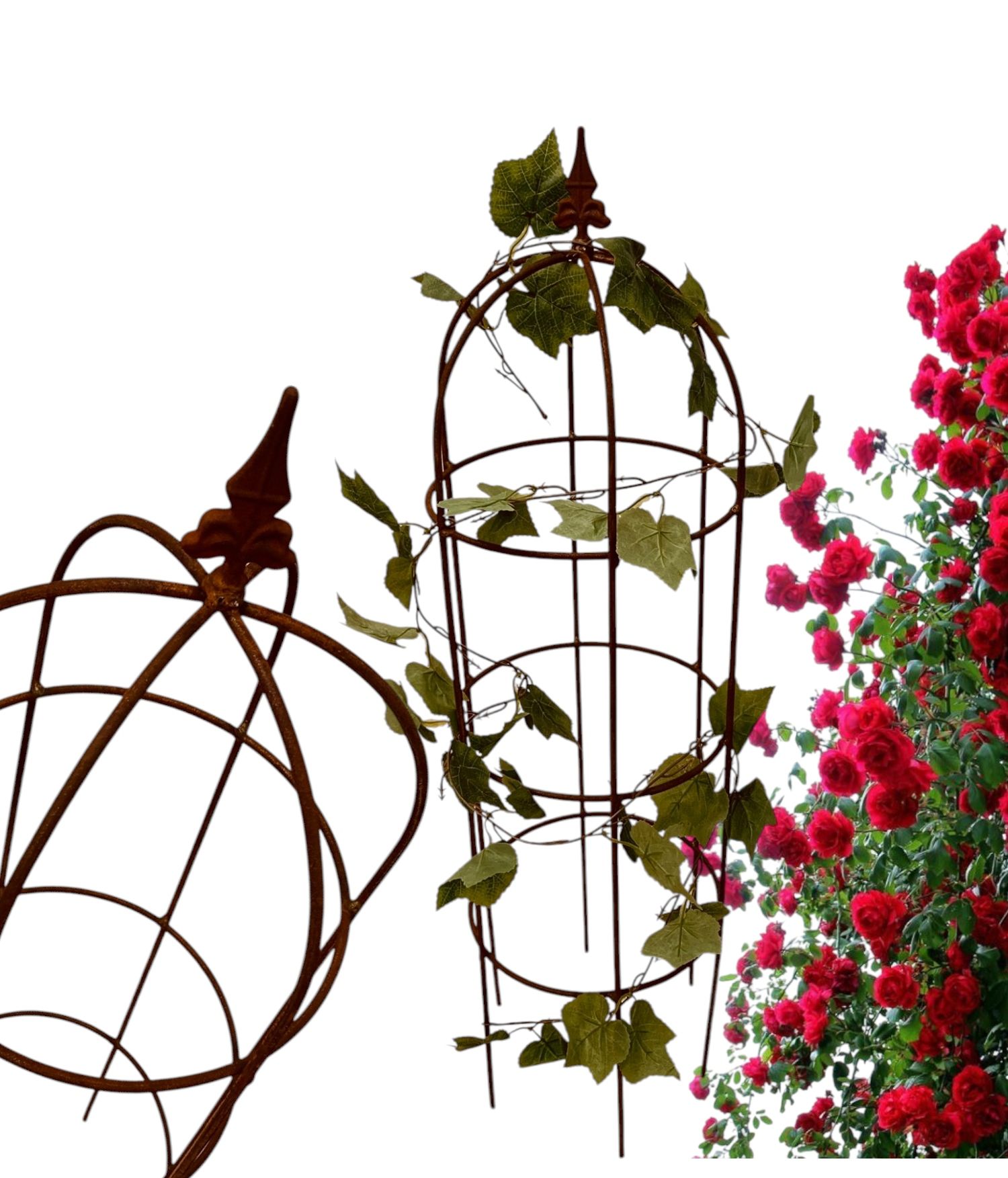  Support for bushes plants flower roses pergola 30/50cm single-seater semicircular