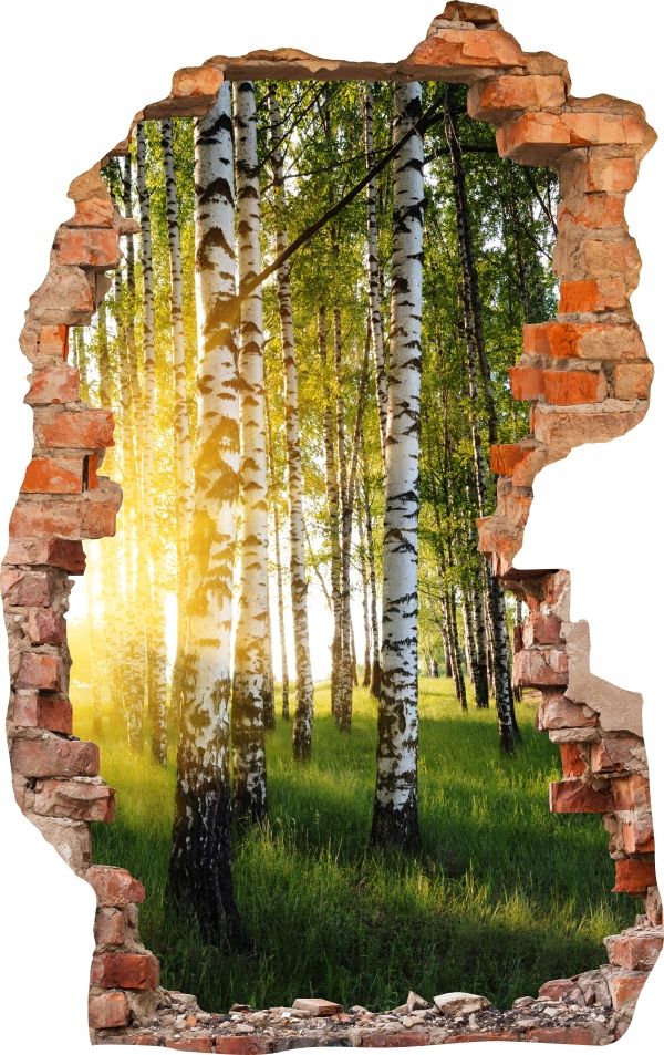  Sienas uzlīmes foto tapetes caurums 688 daba