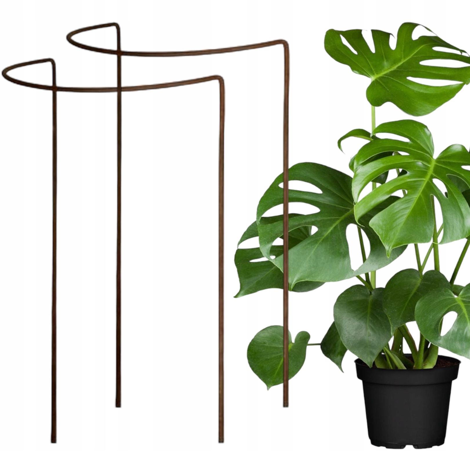  Support for bushes plants flower roses pergola 30/50cm single-seater semicircular
