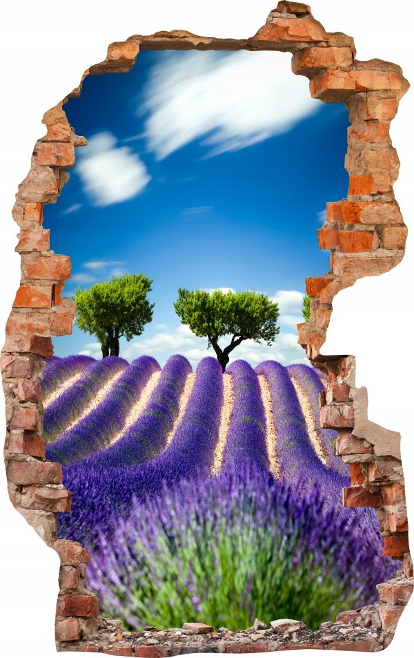 Sienas uzlīmes foto tapetes caurums 688 daba