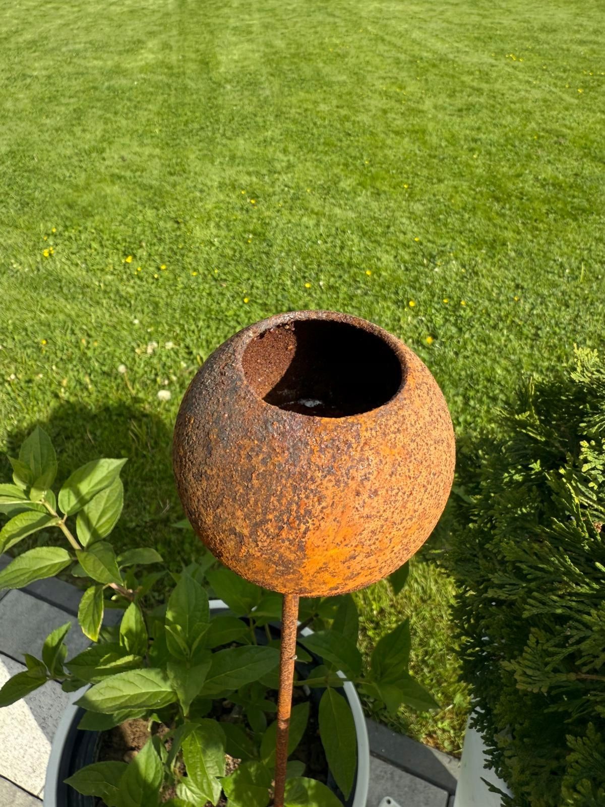  Adornment garden dragonfly rdzawa 3d corten rust sculpture discounts 90 cm
