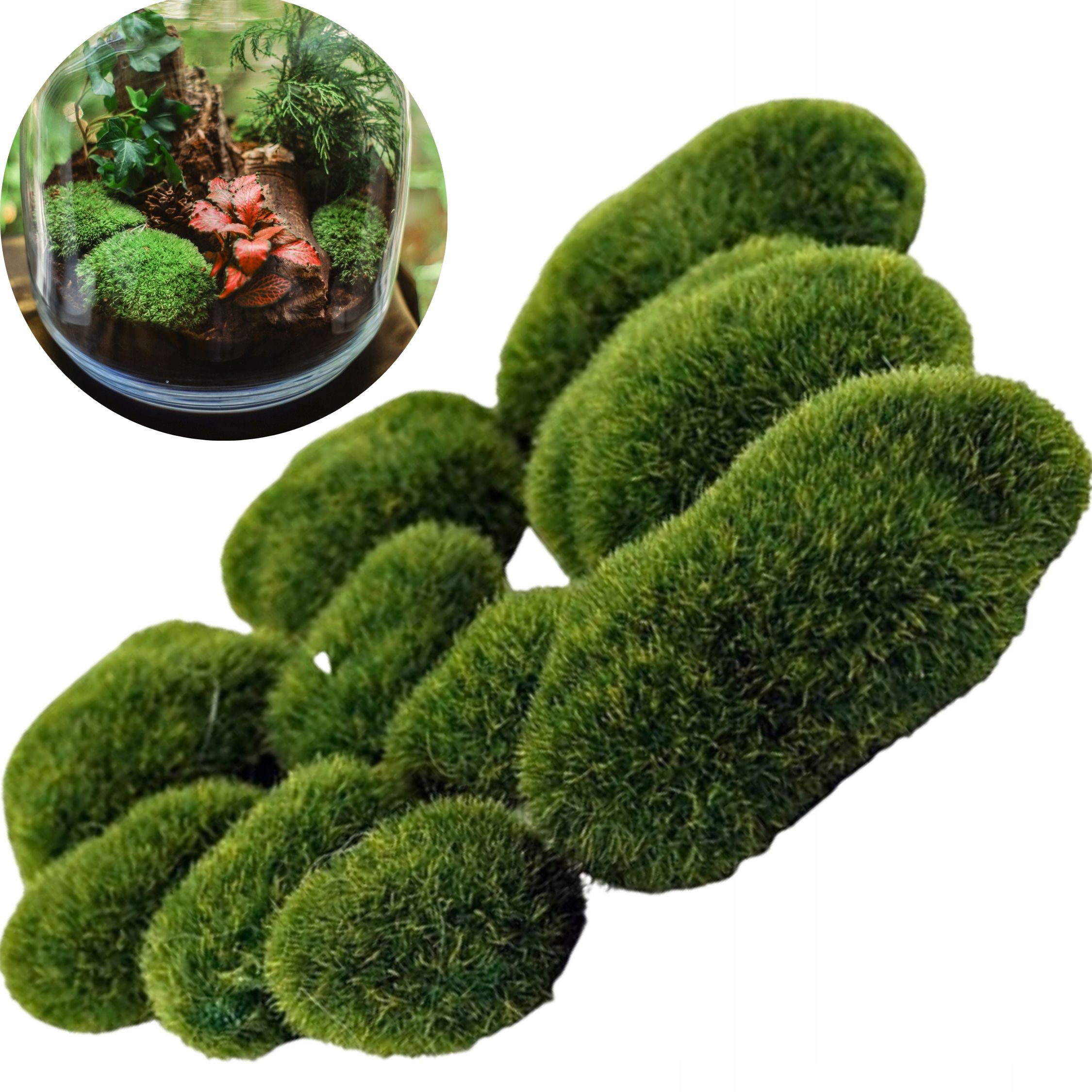  Künstlich dicht baum in einem topf ficus debnolistny wie lebendig 90cm premium