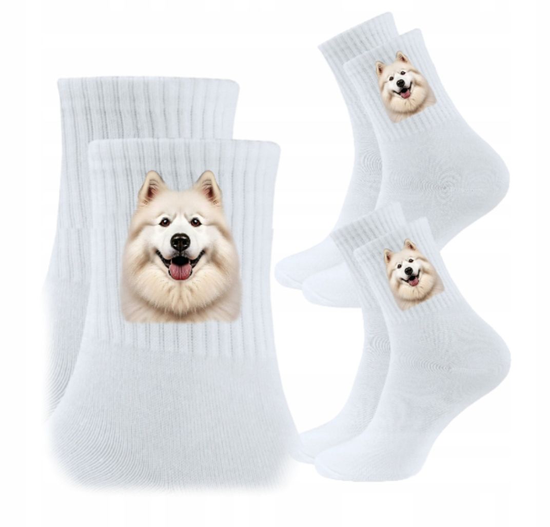 3x socken psiak hund hündchen hunde geschenk - york yorkshire