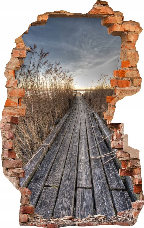  Sienas uzlīmes foto tapetes caurums 688 daba