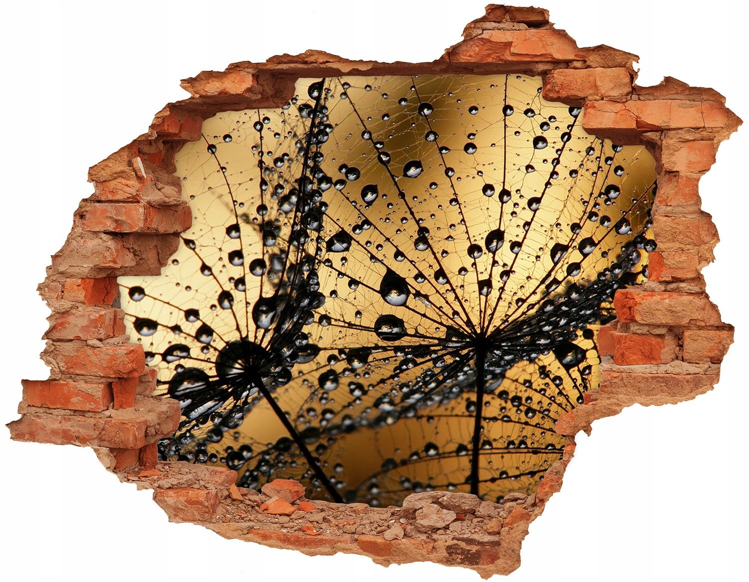  Otvor 3d výzdoba na zdi 120x93 cm lilie voda