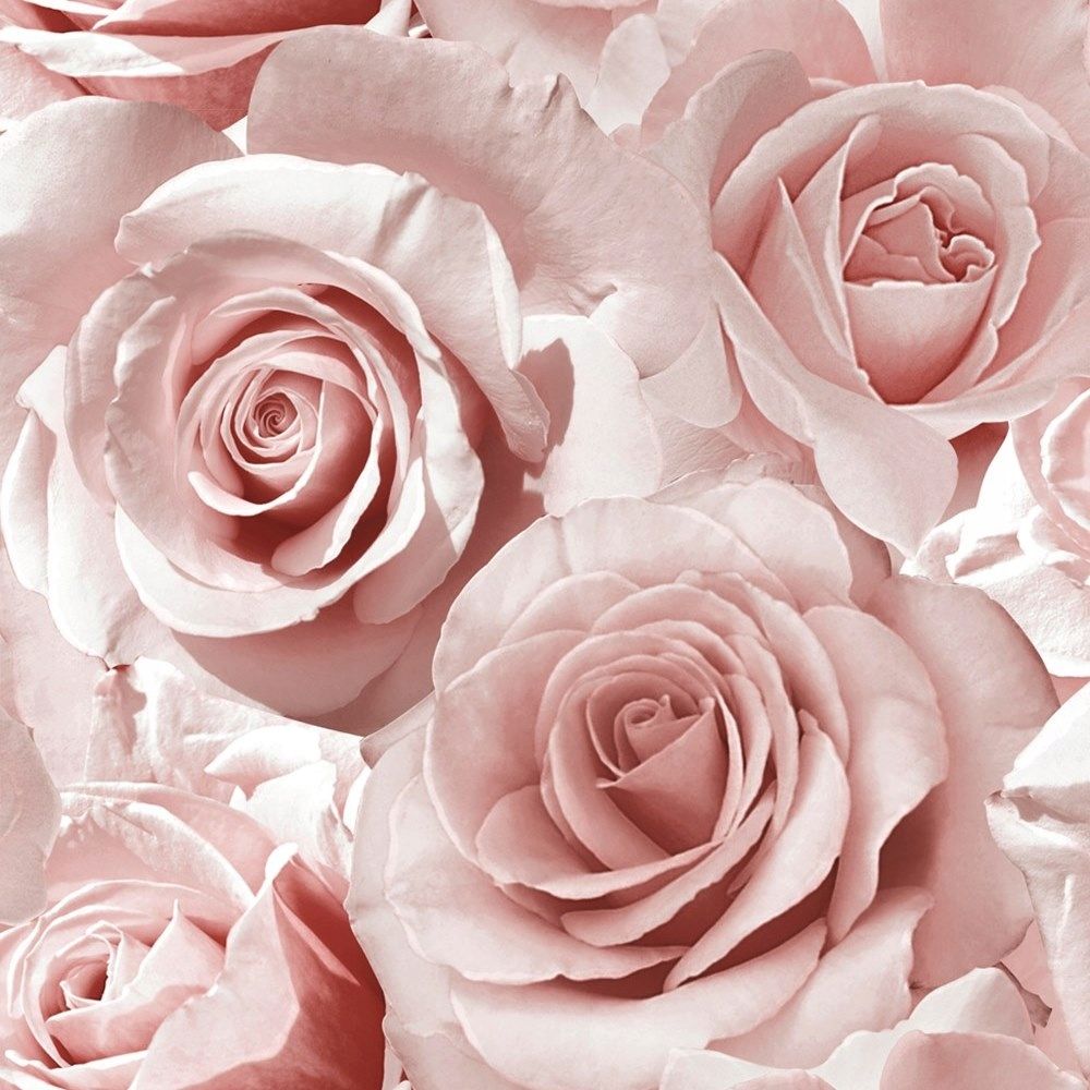  Tapete blumen roze mit glitzer wirkung 3d