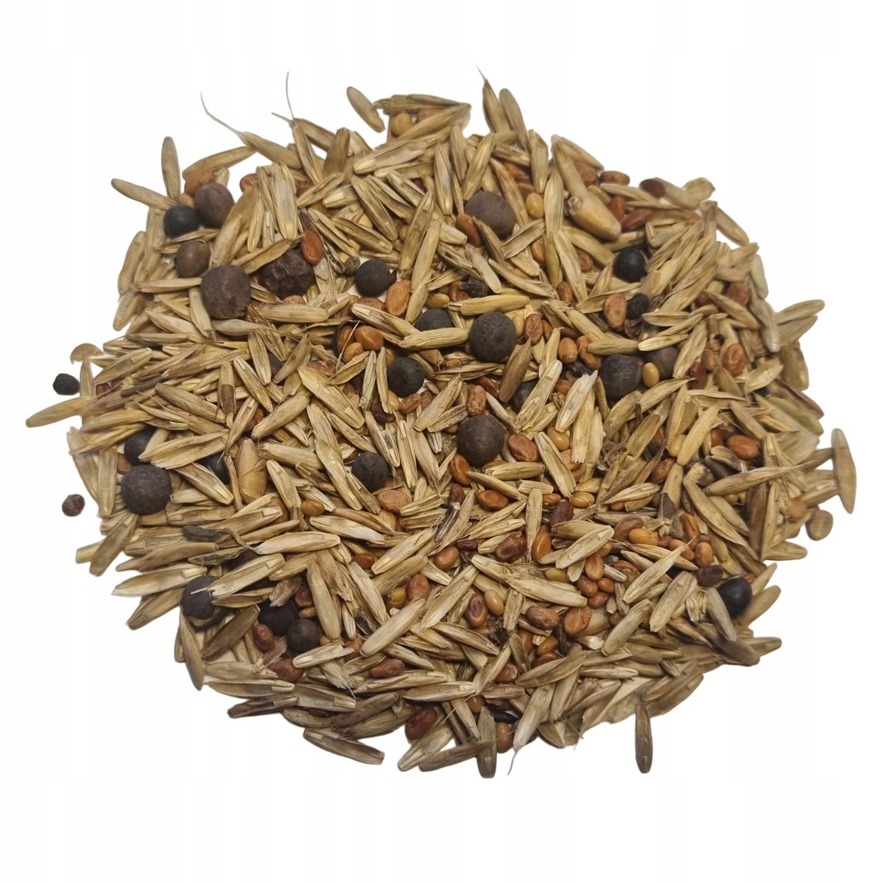  Semena mix dla messor 100 g. - jídlo mravenci anthunter