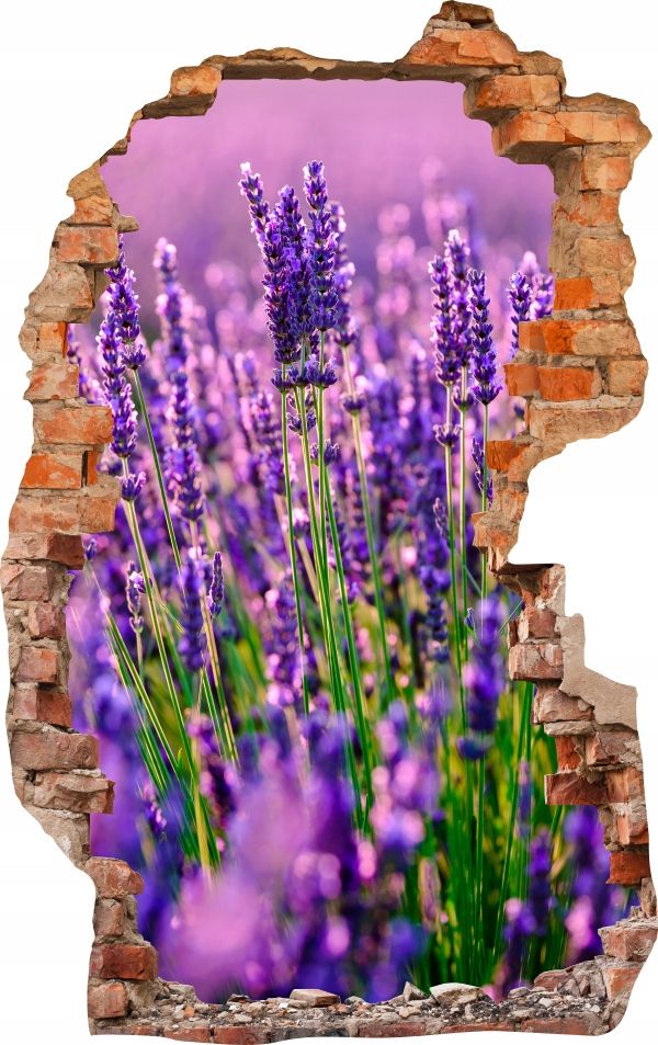  Sienas uzlīmes foto tapetes caurums 688 daba