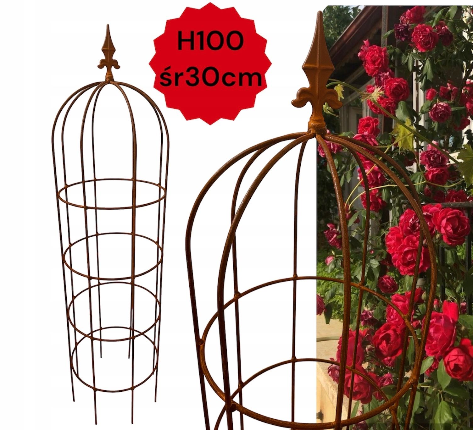  Podpora kov pro rostliny podporuje pergola obelisk žebřík 120 cm solidní