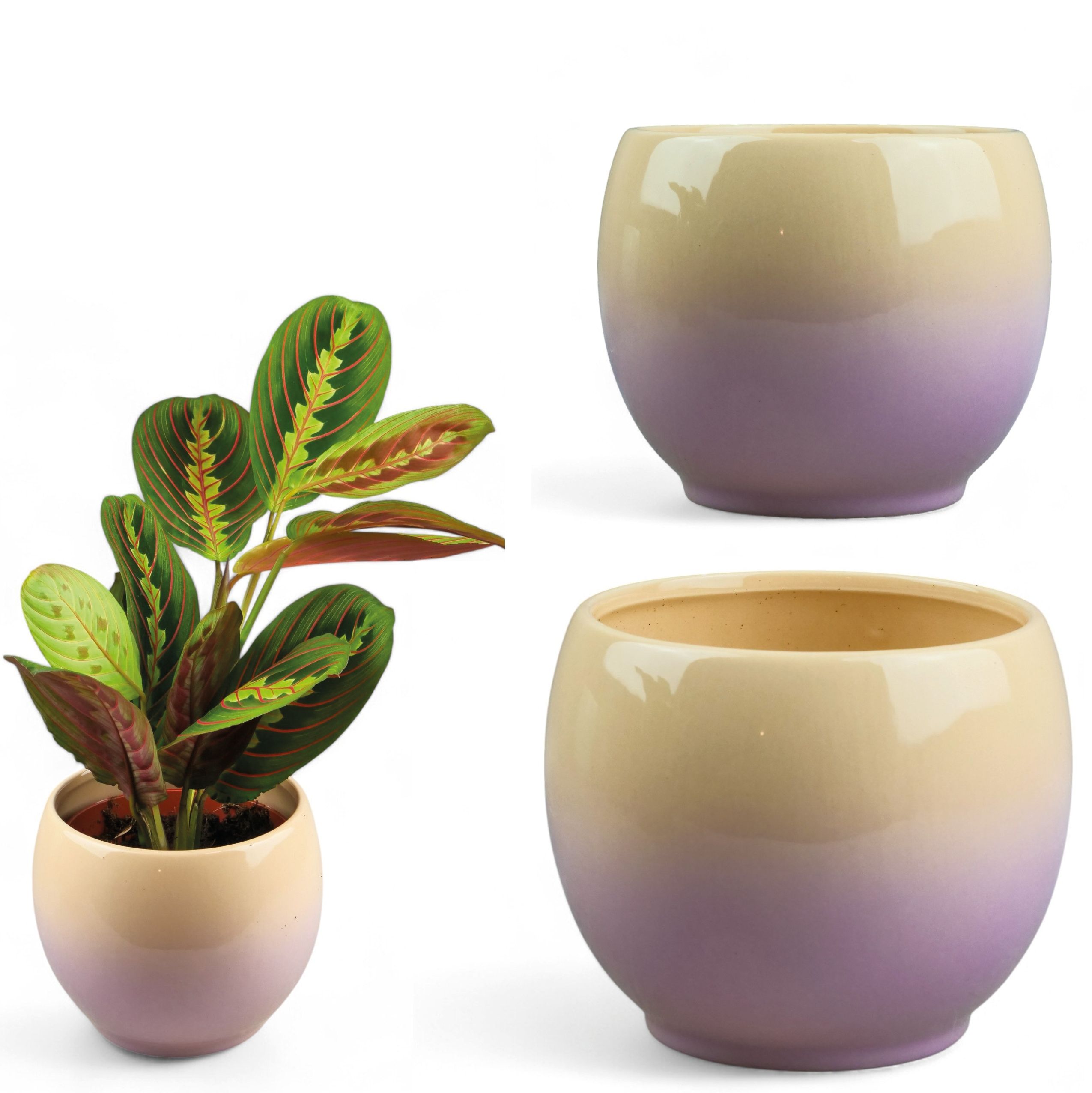  Keramikas puķu pods platums 12cm ar unikalnym rakstiski elegance i stils vienā