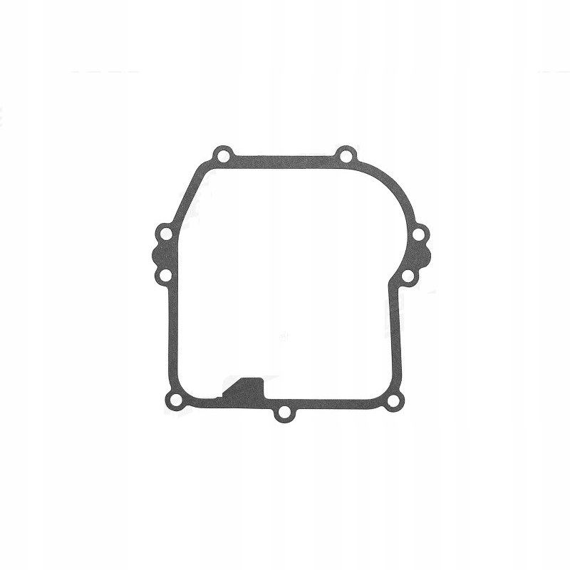  Gasket spainis degviela briggs&stratton 272410 272996 692241