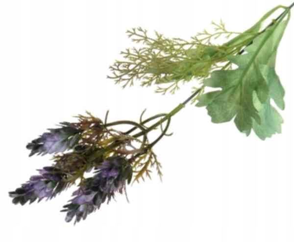  Rukola šakelė puošni į bukietu tanki žolė violet