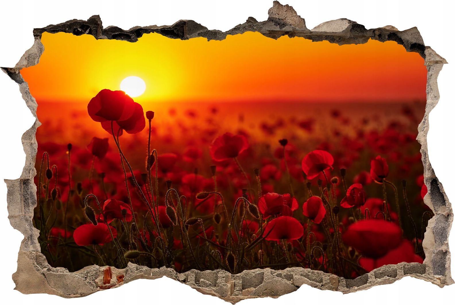  Fototapeedid auk 3d seinakleebis wodospady potok mets loodus