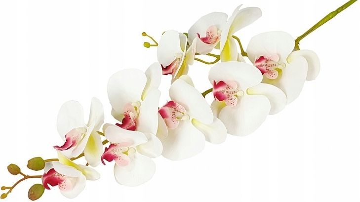  Orchid twig 20 flowers 76 cm rubber