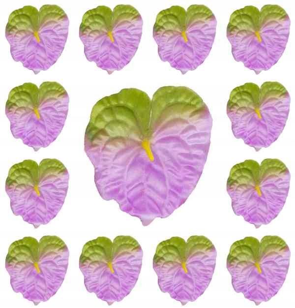  Anturium pea fuchsia / green