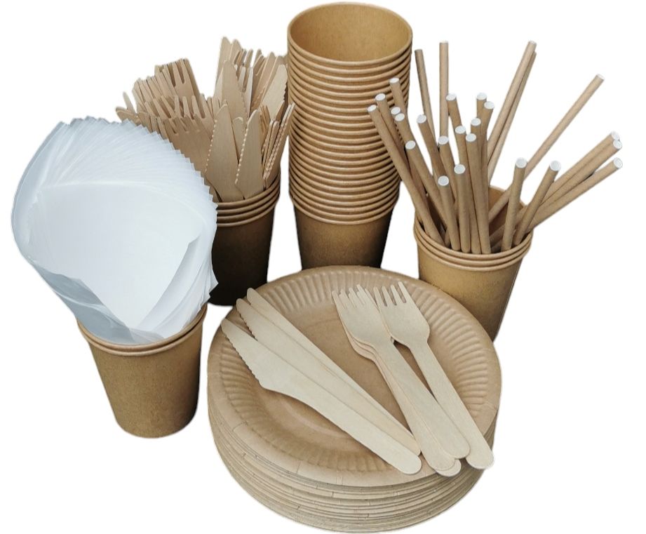  Eco-friendly set for a barbecue picnic paper cups plates cutlery 50 persons